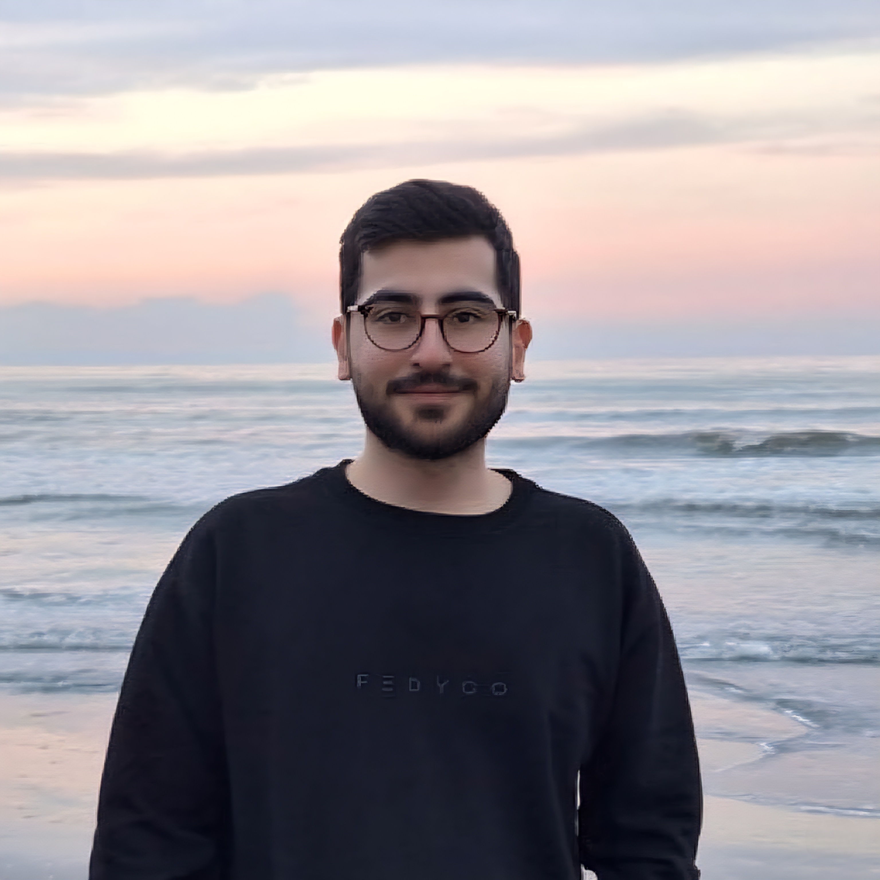 Mohammad Zafari